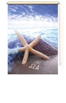 Extartiqe Duschrollo - Vitamin-Sea-Seestern-Duschrollo
